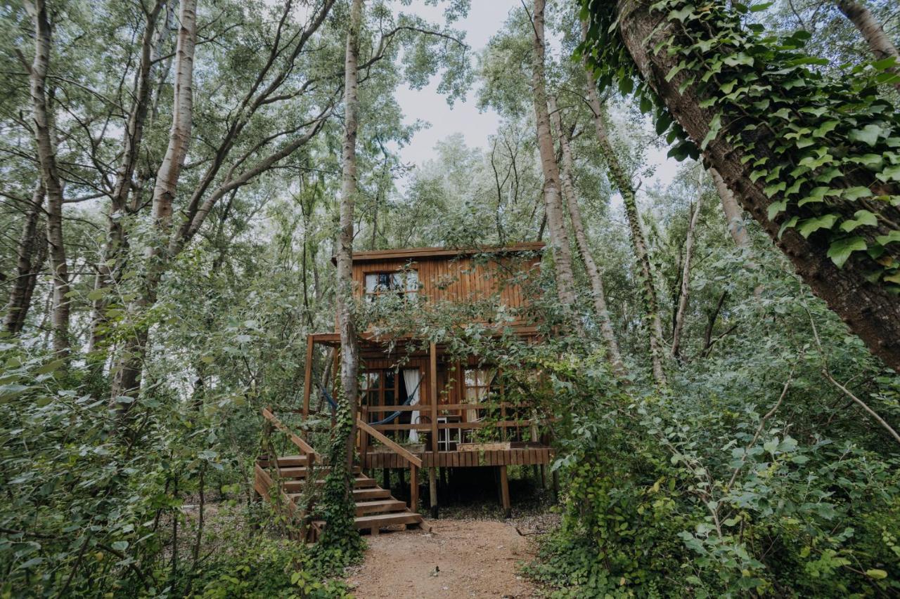 Lodge En El Bosque A 5 Minutos Del Mar - Ch