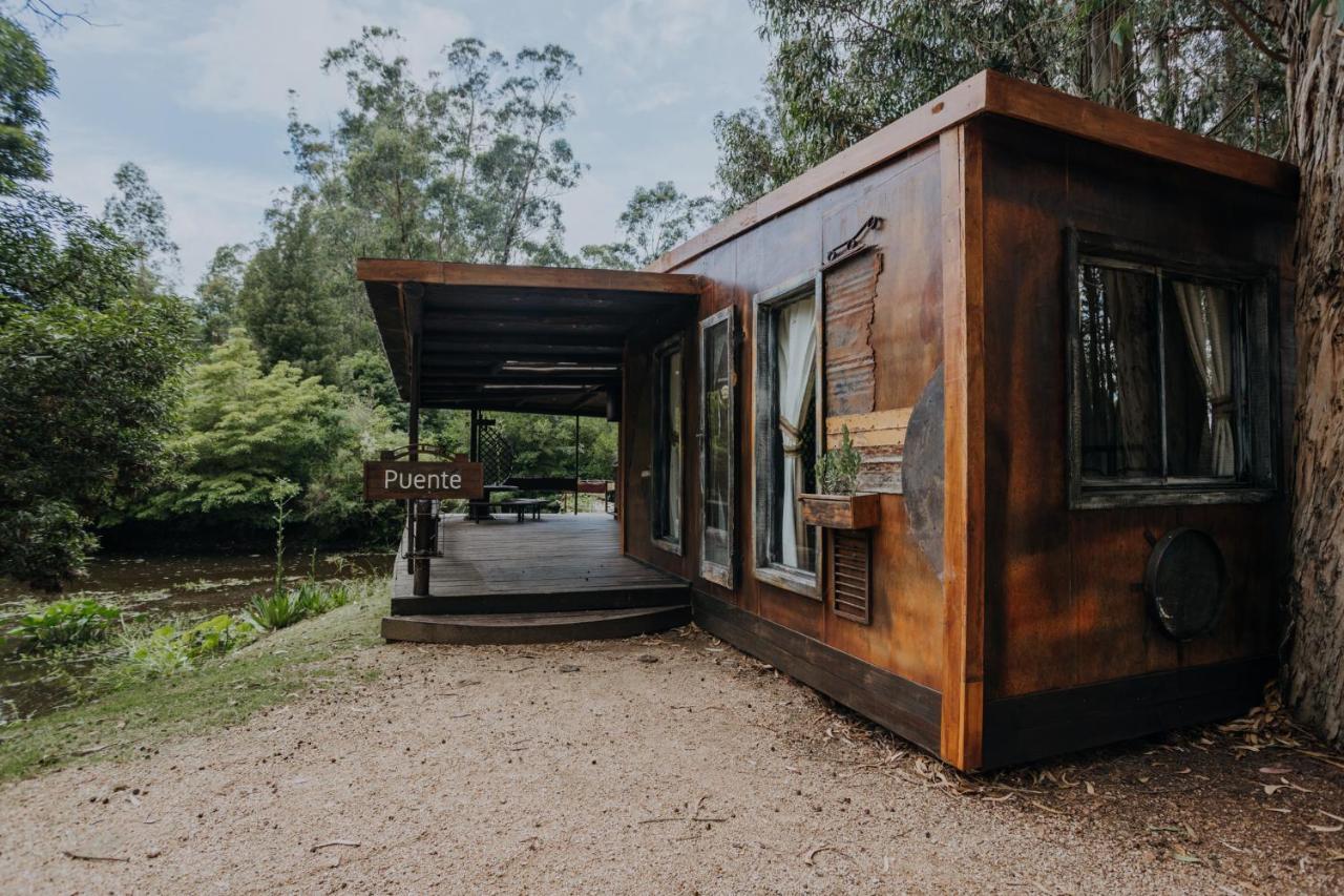 Lodge En El Bosque A 5 Minutos Del Mar - Ch *