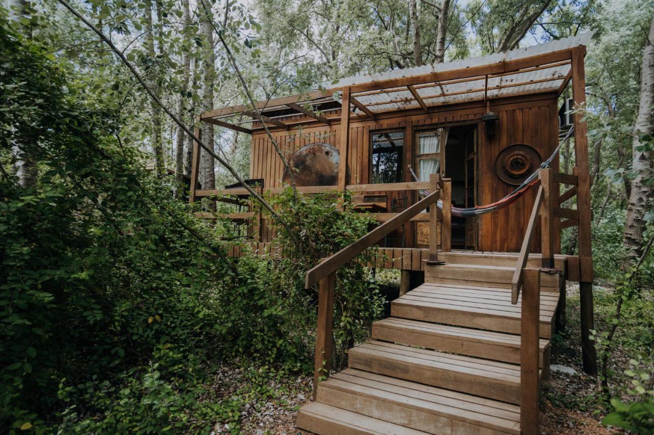 Lodge En El Bosque A 5 Minutos Del Mar - Ch *