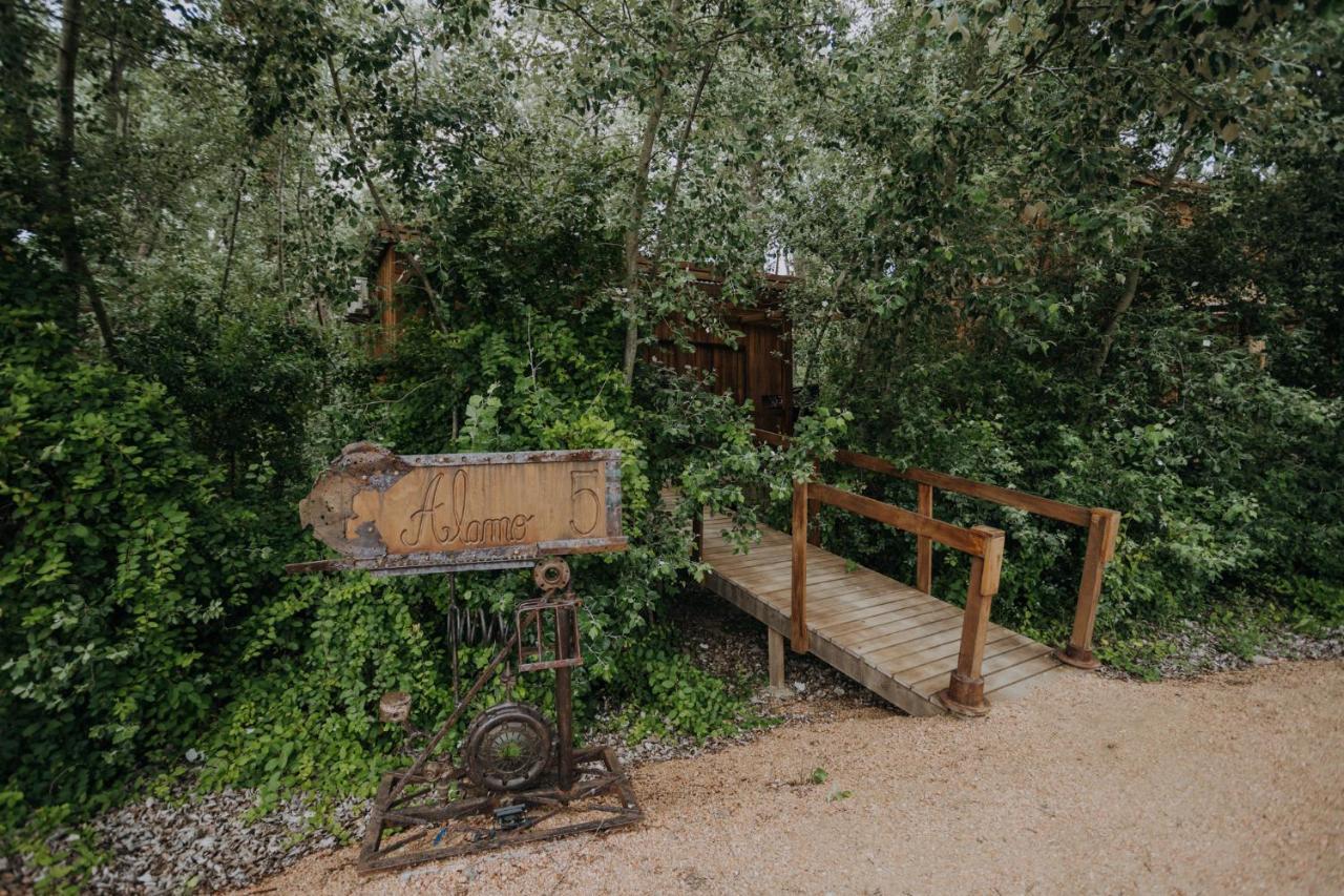 Lodge En El Bosque A 5 Minutos Del Mar - Ch